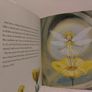The Velveteen Rabbit, classic, hardback book Image 8