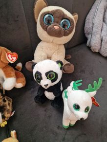 ty teddies
