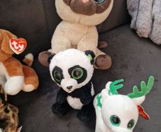 ty teddies