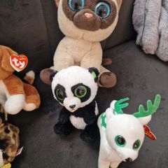ty teddies