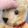 Antique Vintage Mohair British Teddy Bear - Jointed Image 3