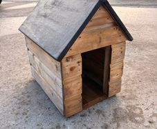 Dog Kennel