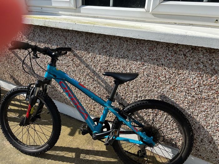 Orbea mountain bike