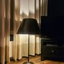 Large Lamp Image 2