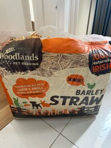 Pet straw