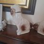 mantle dogs Image 4