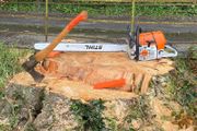 Tree felling