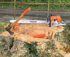 Tree felling