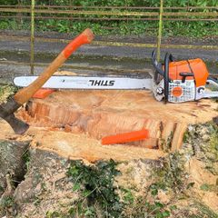 Tree felling