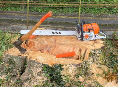 Tree felling