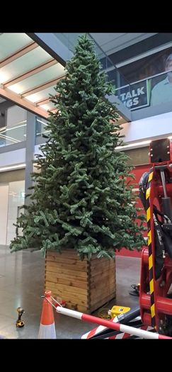 17ft Commercial Christmas tree
