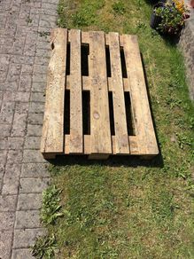 Pallet - Free
