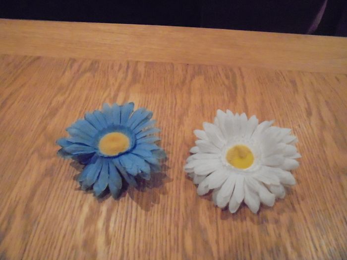 Daisys x 2 with Suction Pads for Sale