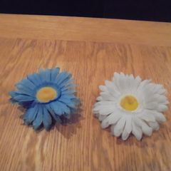 Daisys x 2 with Suction Pads for Sale