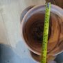 Terracotta ceramic Plants Pot set of 12 Image 6