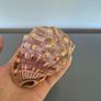 Large Shell Home decor Image 4