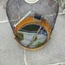 bird cage Image 3