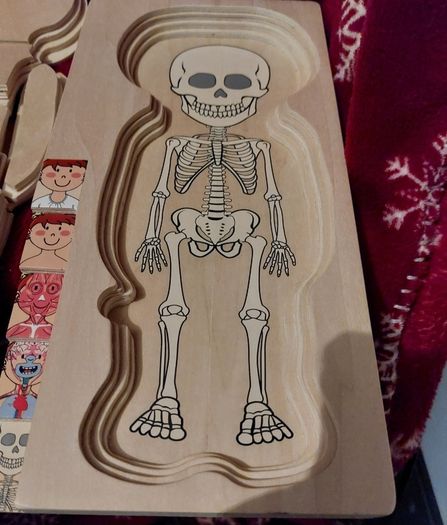 Educational Toy ; Wooden (947)  2