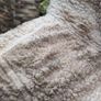 old navy cream Beige full zip borg fleece Xs S Image 3