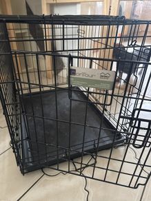 dog crate