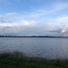 Tacha