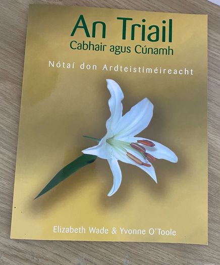 Secondary School Irish books