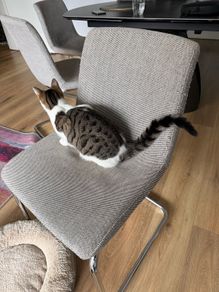 4 ikea chairs Lustebo