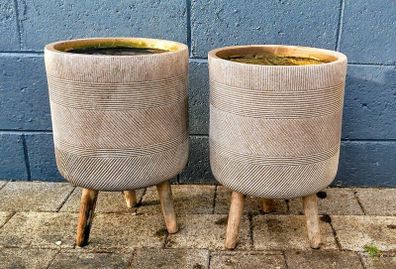 2 Flower Pots