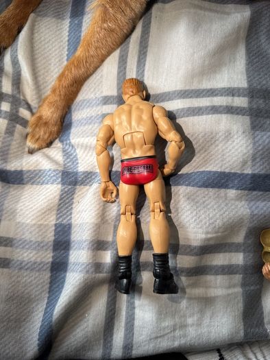 wwe figure
