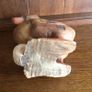 Wooden duck with Egg Image 6