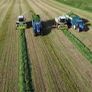 Claas Jaguar 860 Image 3