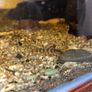 aquarium Image 9