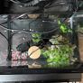 fish tank Image 3