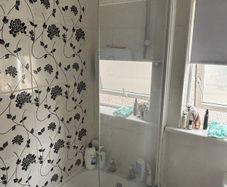 shower door