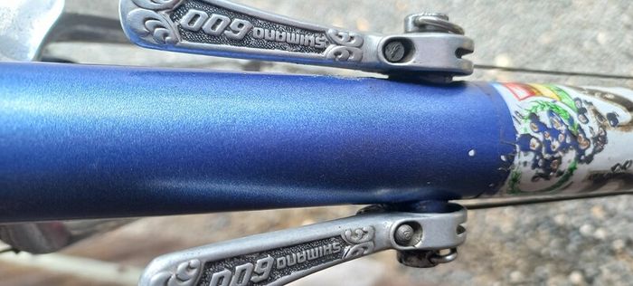Vintage Original French Racing Bike Bicycle  Didier Louis 1980
