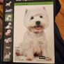 West Highland White Terrier.manual And Reference Guide.  Hardback In Good Condition. Image 4