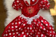 Disney Minnie Mouse Red &amp; White Polka Dot Costume / Halloween Dress