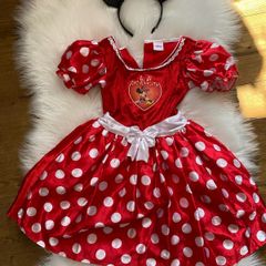 Disney Minnie Mouse Red & White Polka Dot Costume / Halloween Dress