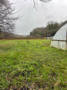 Market garden