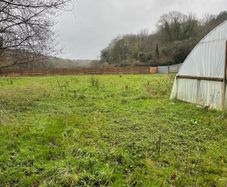 Market garden