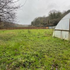 Market garden