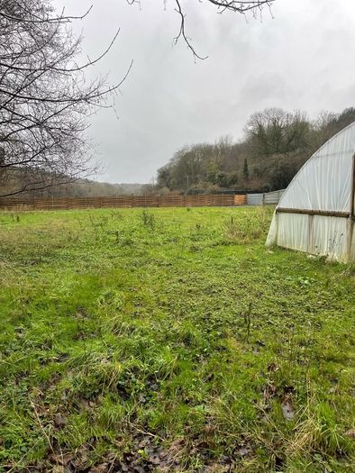 Market garden