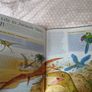 The Complete Guide to Dinosaurs and Prehistoric Reptiles Chris McNab Hardcover Image 6