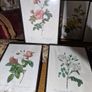 Set of 9 antique botanical prints by Redoute, framed Image 6