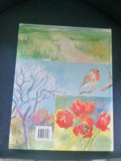 Watercolour Painter's Handbook