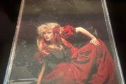 STEVIE NICKS | The Other Side Of The Mirror
