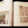 1982 .StMichael. The Encyclopedia Of Gardening. Image 5