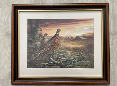 Pheasant Picture
