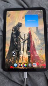 Apple iPad mini 6 LTE 256GB