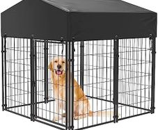 Dog Kennel Crate